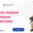 Получить IT-профессию можно со скидкой 50% - Карасукский район