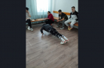 Представители муниципальных образований показали свои спортивные качества на первом этапе фестиваля Всероссийского физкультурно-спортивного комплекса «Готов к труду и обороне»