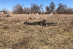 Подведены тоги муниципального этапа военной патриотической игры «Зарница 2.0»