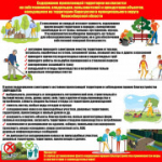 Чистая территория — комфортная жизнь: соблюдаем порядок вместе!