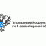 upravlenie_rosreestra_0.png - Карасукский район