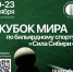 Кубок мира по бильярдному спорту «Сила Сибири» пройдёт в Новосибирске - Карасукский район