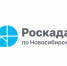 Эксперты новосибирского Роскадастра назвали способы защитить свою недвижимость - Карасукский район