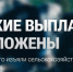 Меры поддержки для семей, утративших сельскохозяйственных животных - Карасукский район