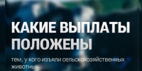Меры поддержки для семей, утративших сельскохозяйственных животных - Карасукский район