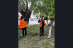 Итоги работы по благоустройству города за неделю